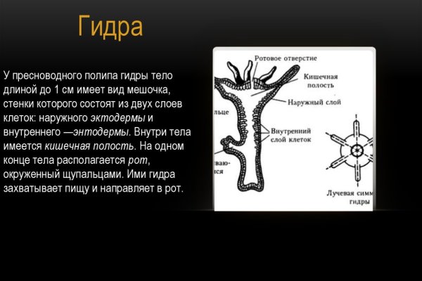 Зеркало омг омг рабочее на сегодня